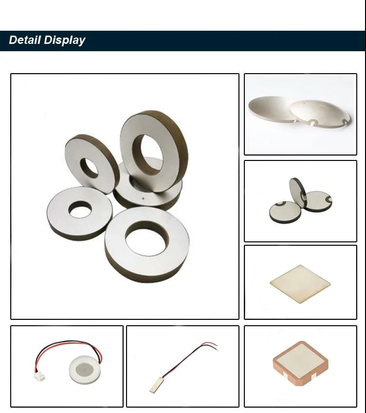 Fbpzt3mm Piezoelectric Crystal in Electrical 4MHz Ceramic Piezo Disks Piezoelectric