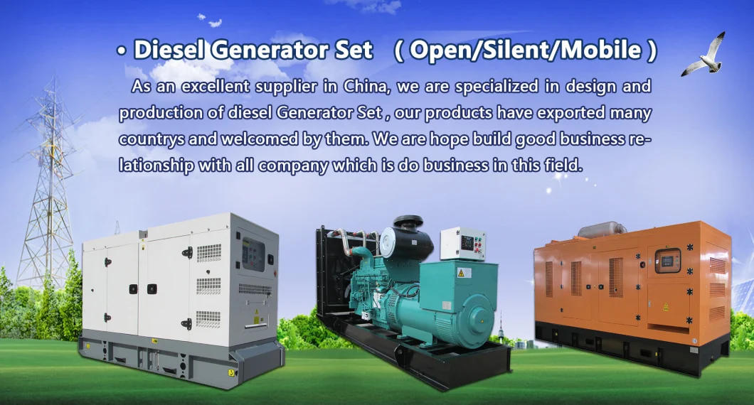 High Quality Open/Silent Power by Perkins/ Cummins 8kw-160kw 10kw 20kw 30kw 100kw Diesel Generator